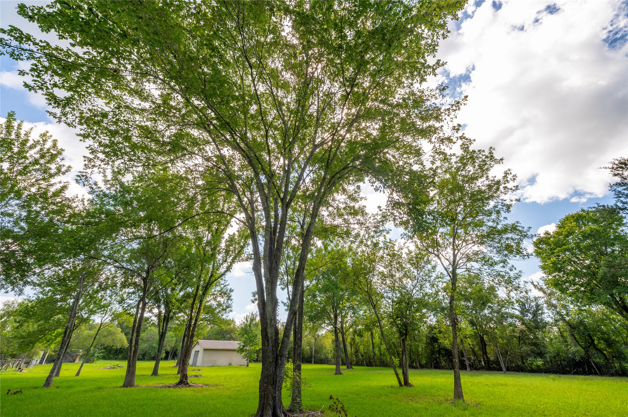 00 PARRISH, Santa Fe, TX 77510