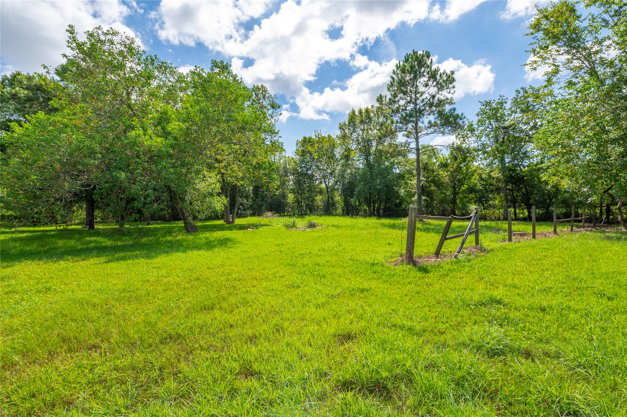 00 PARRISH, Santa Fe, TX 77510