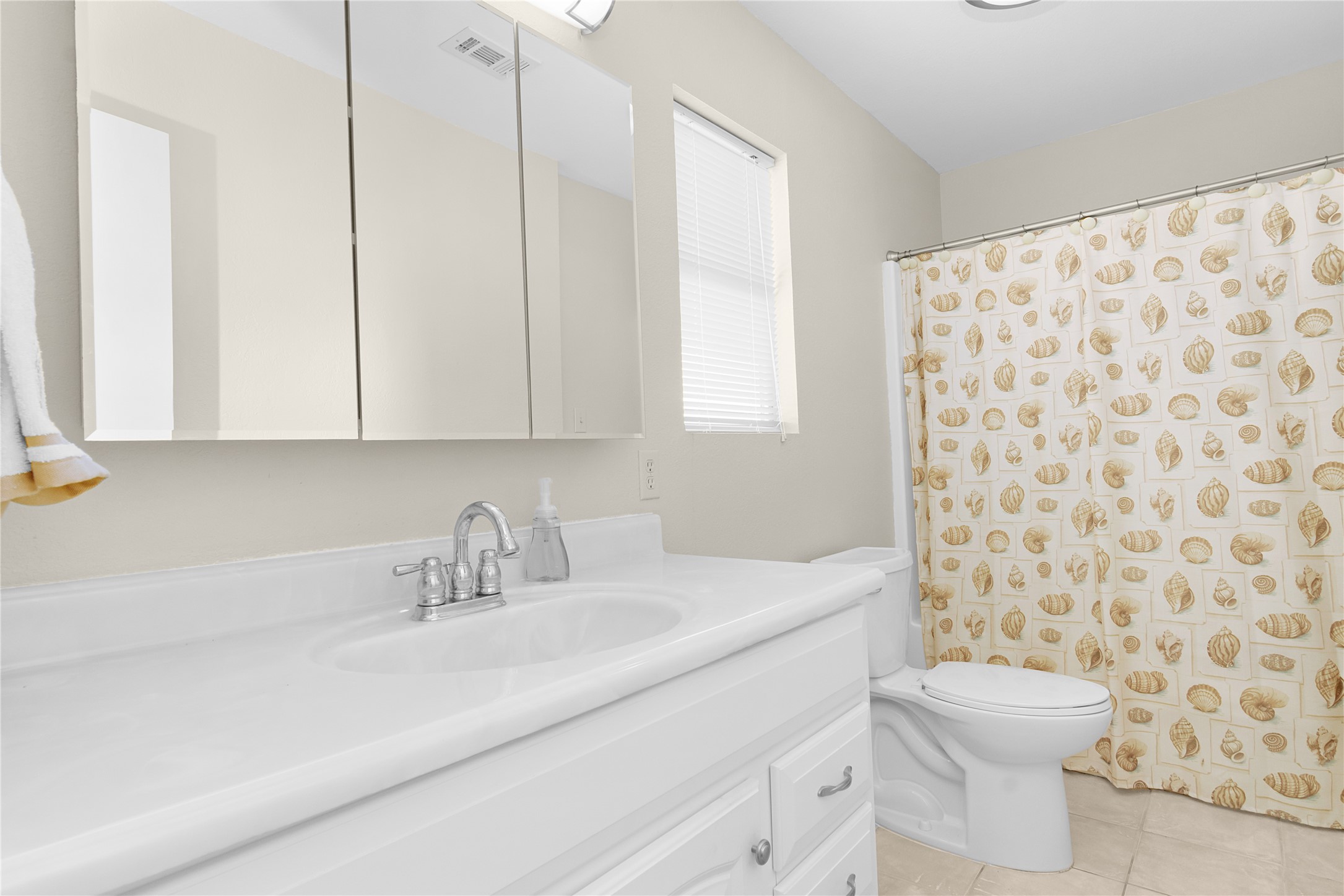 Bright Primary bathroom.