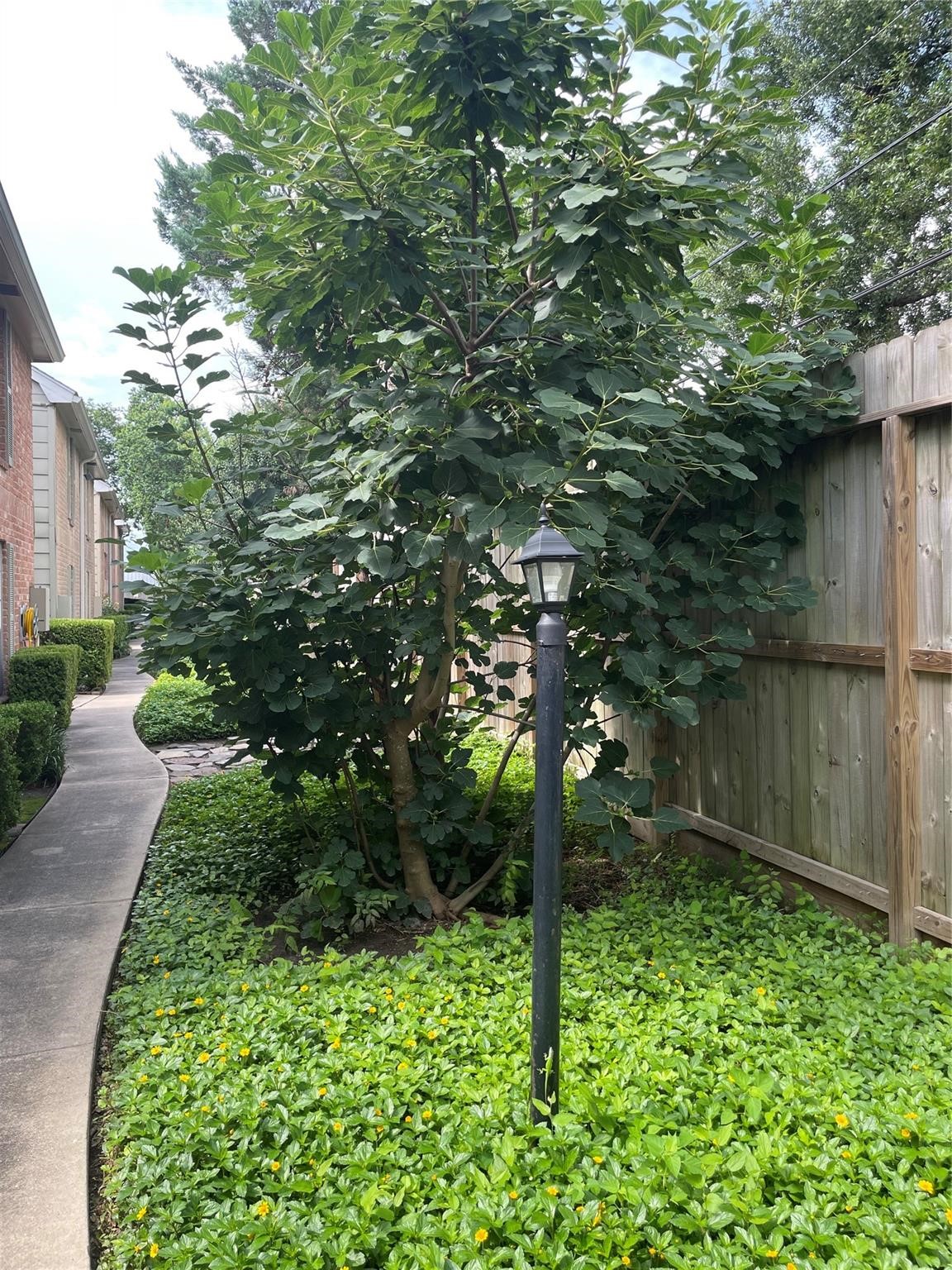 2800 Jeanetta Street, #2803, Houston, TX 77063