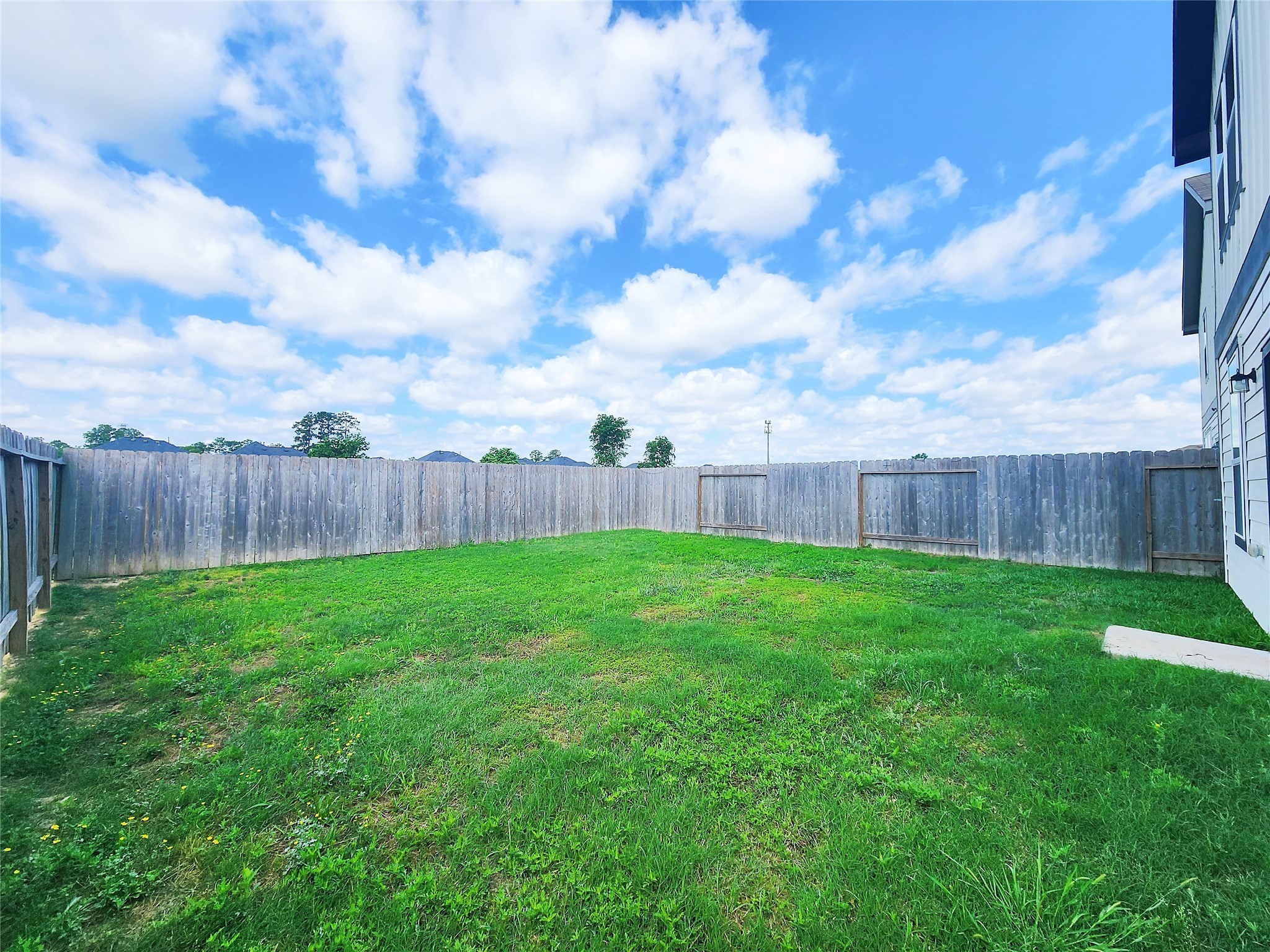 14503 Sweet Cherry Drive, Houston, TX 77069