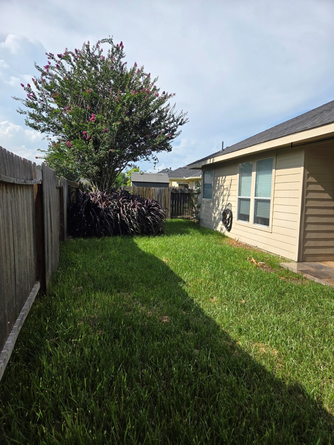 low maintenance backyard