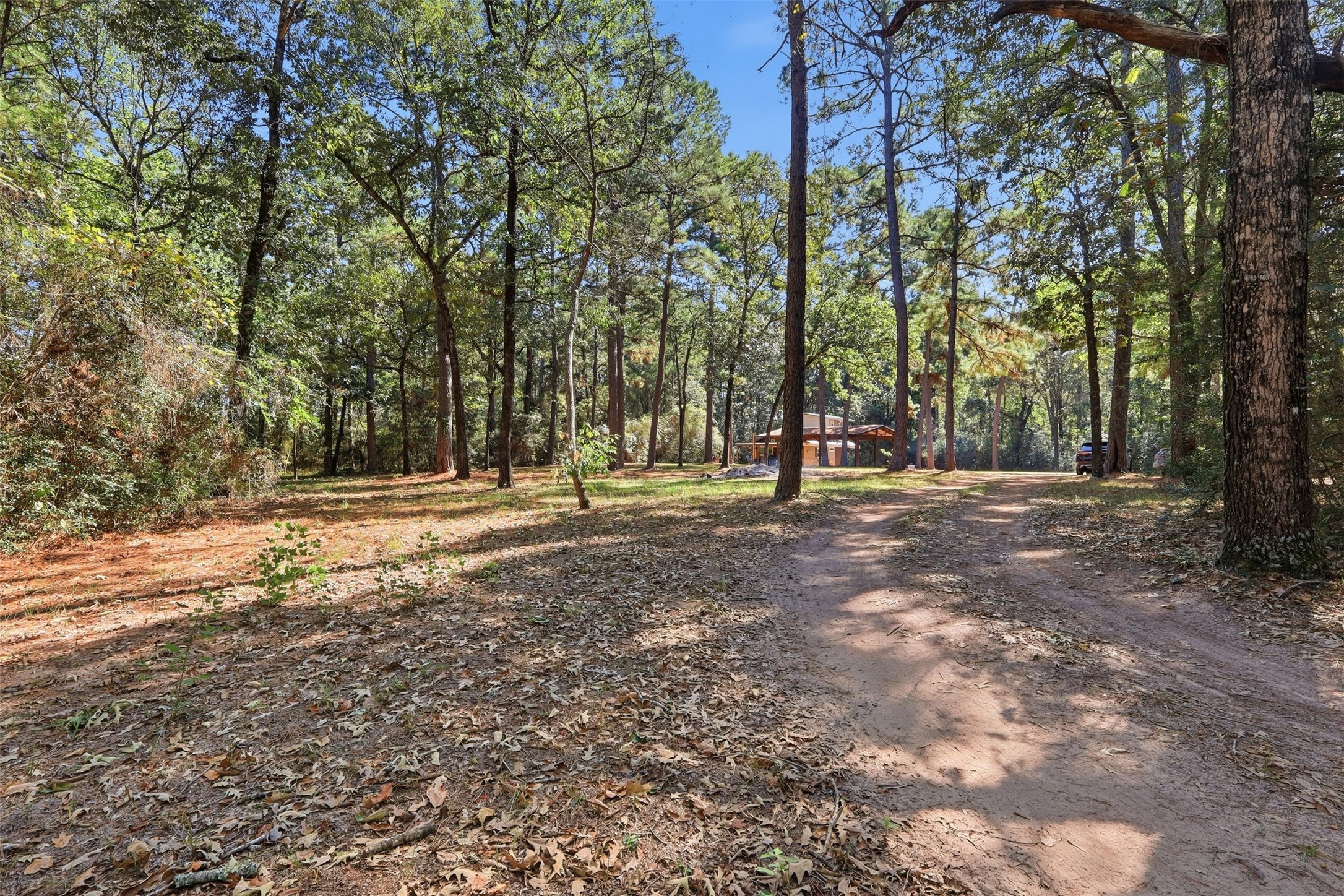 27896 Deer Run Street, Montgomery, TX 77356