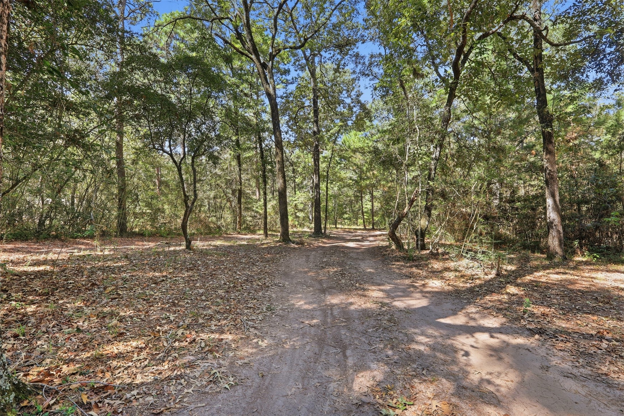 27896 Deer Run Street, Montgomery, TX 77356