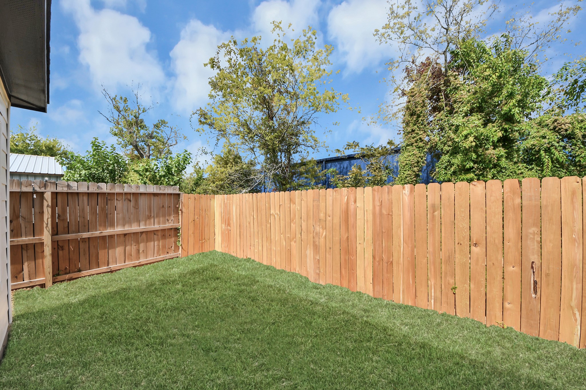 Charming backyard with a well-maintained lawn and a sturdy wooden privacy fence, perfect for outdoor relaxation or gardening.