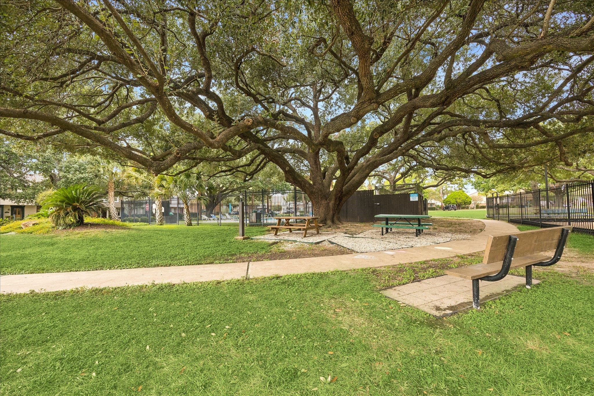 14135 Misty Meadow Lane, Houston, TX 77079