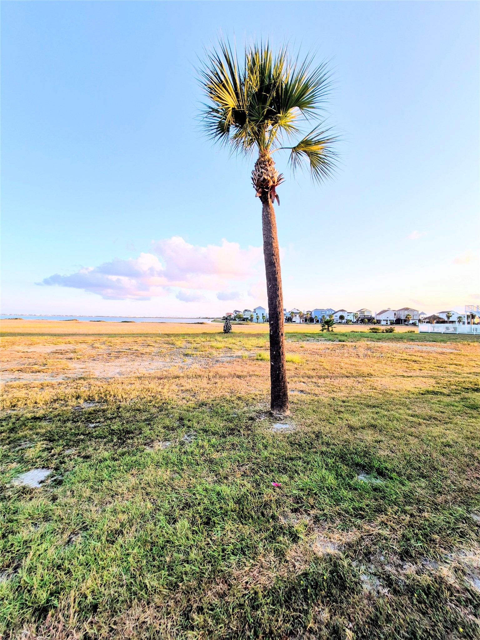 You will love Tiki Island.