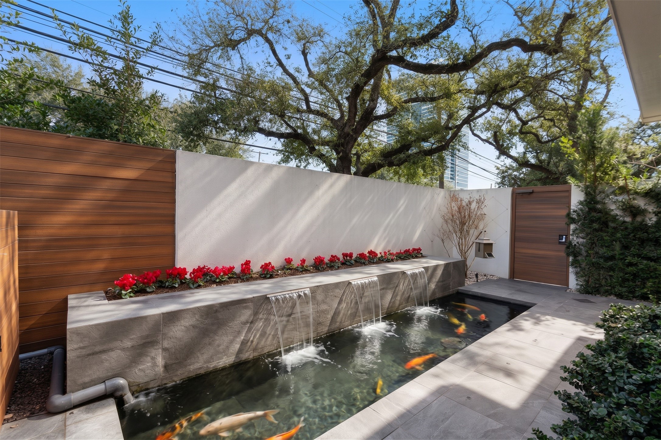 Courtyard Koi Pond.