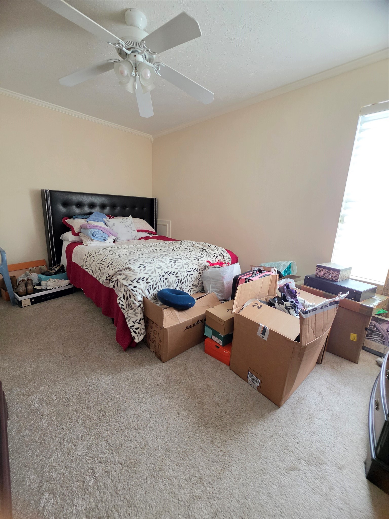 11930 Meadow Crest Drive, Meadows Place, TX 77477