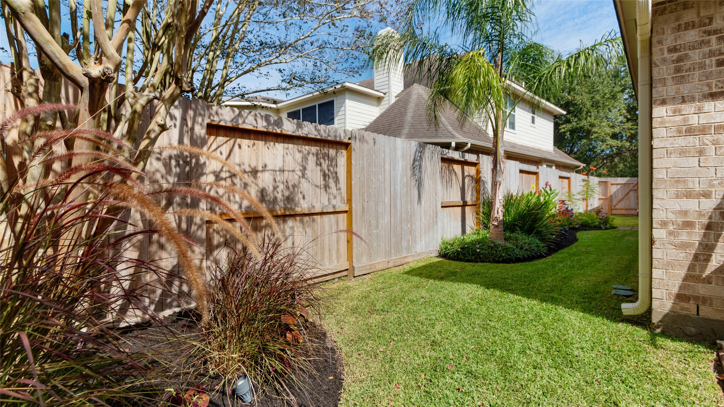 View of the side yard.