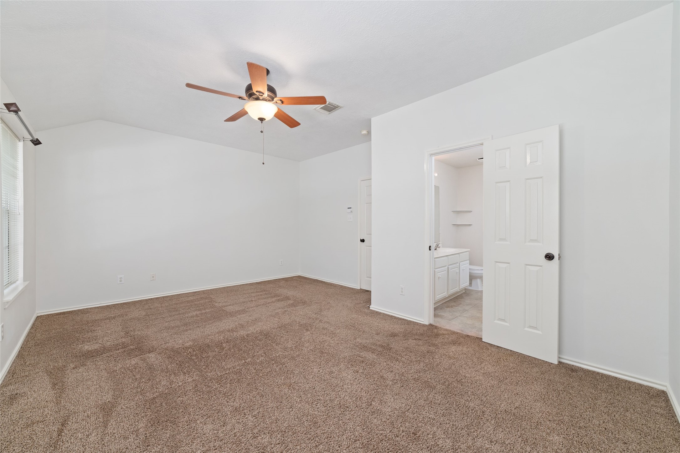 118 Anise Tree Place, Spring, TX 77382