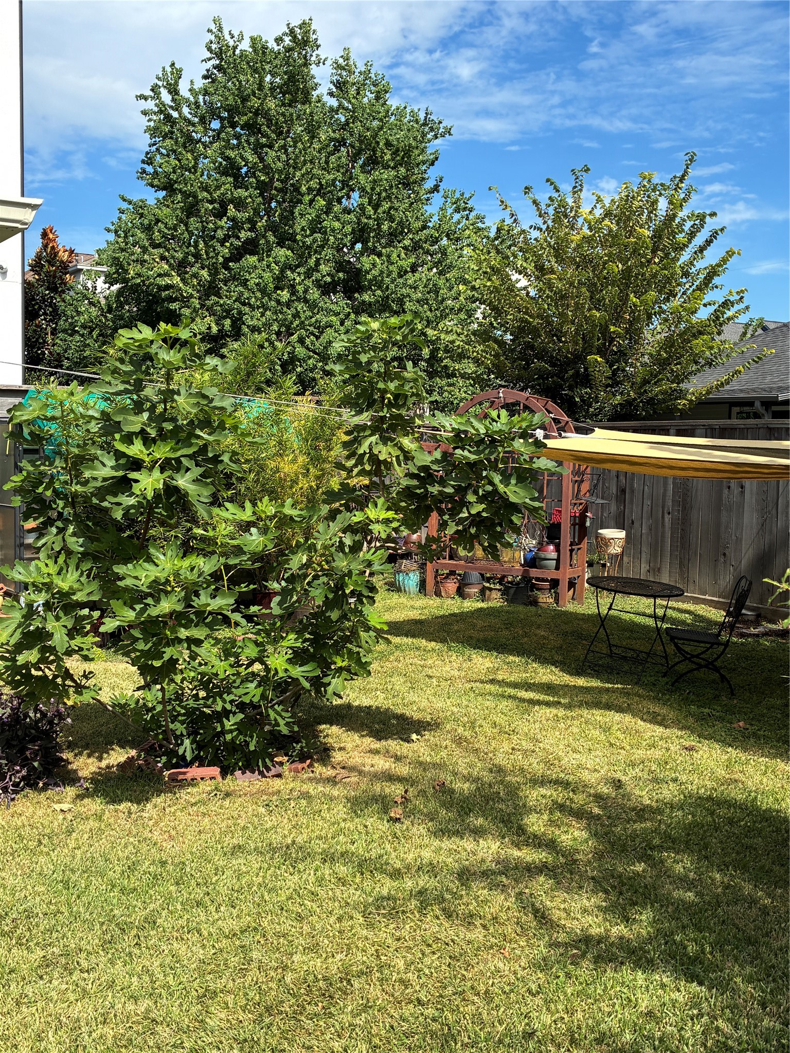 Expansive backyard with greenhouse and storage shed.