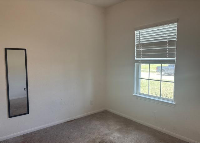 30216 Arnold Branch Drive, Magnolia, TX 77355