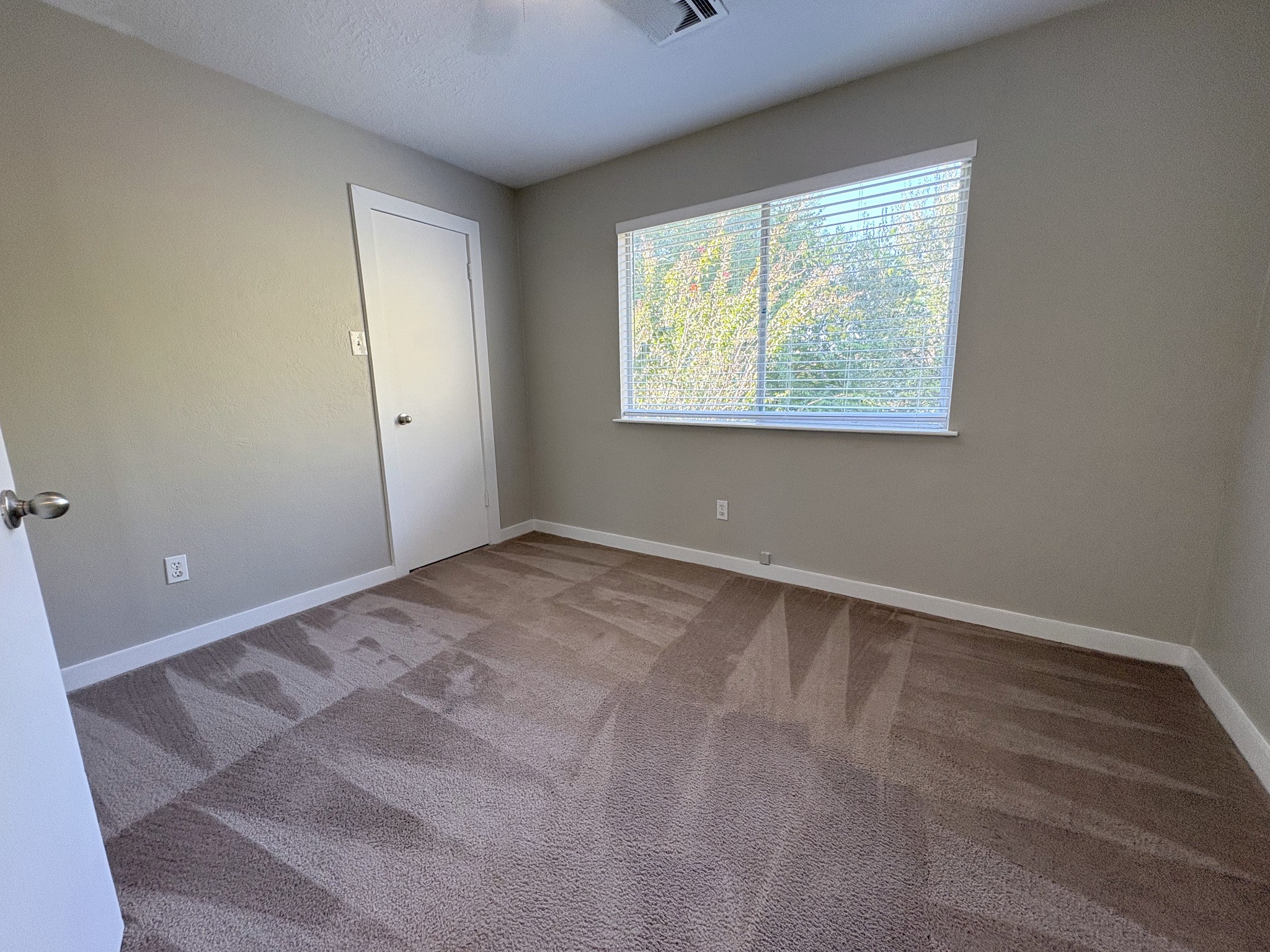 Large double window overloking back yard illuminates Bedroom 3 as well