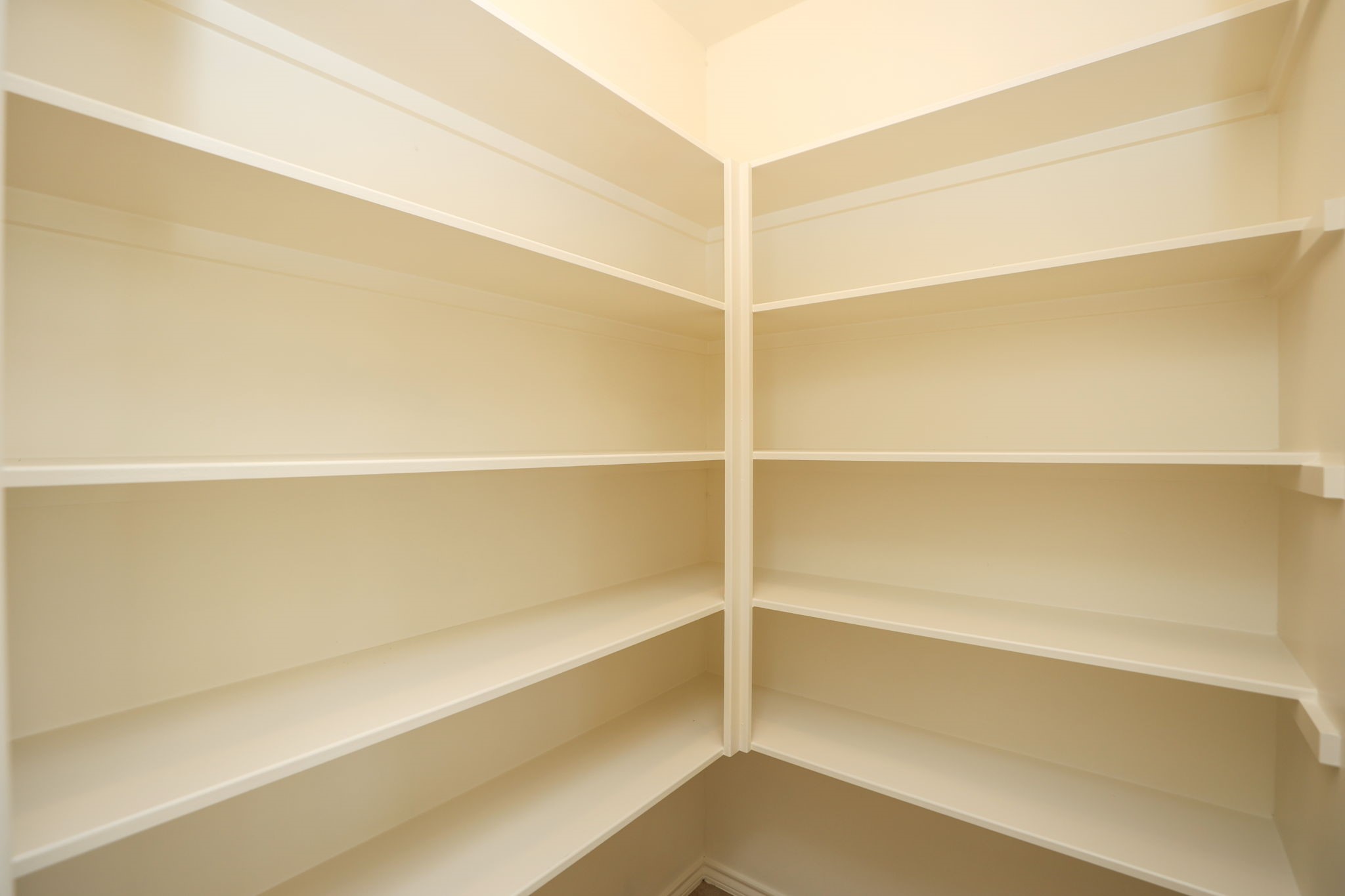 Full pantry for all of your food and appliances! Whole home has been freshly painted for its new owner!