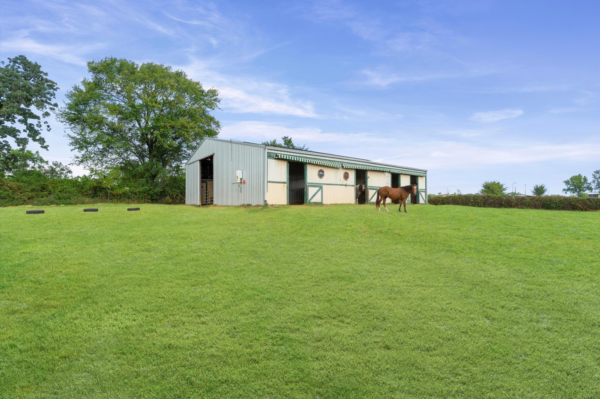 29381 Highway 6, Hempstead, TX 77445