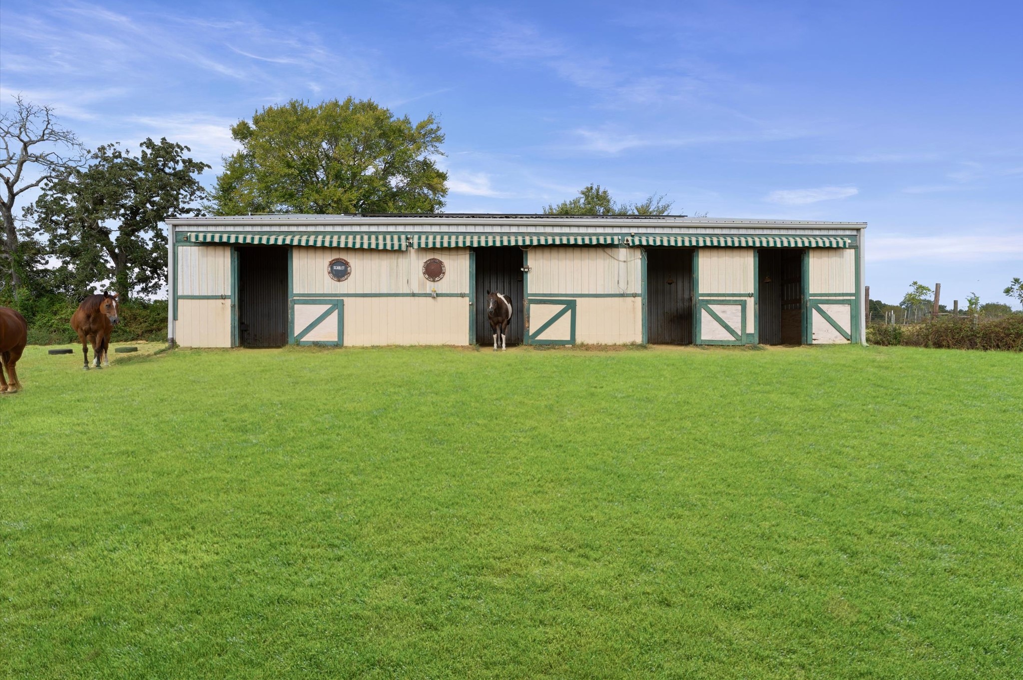 29381 Highway 6, Hempstead, TX 77445