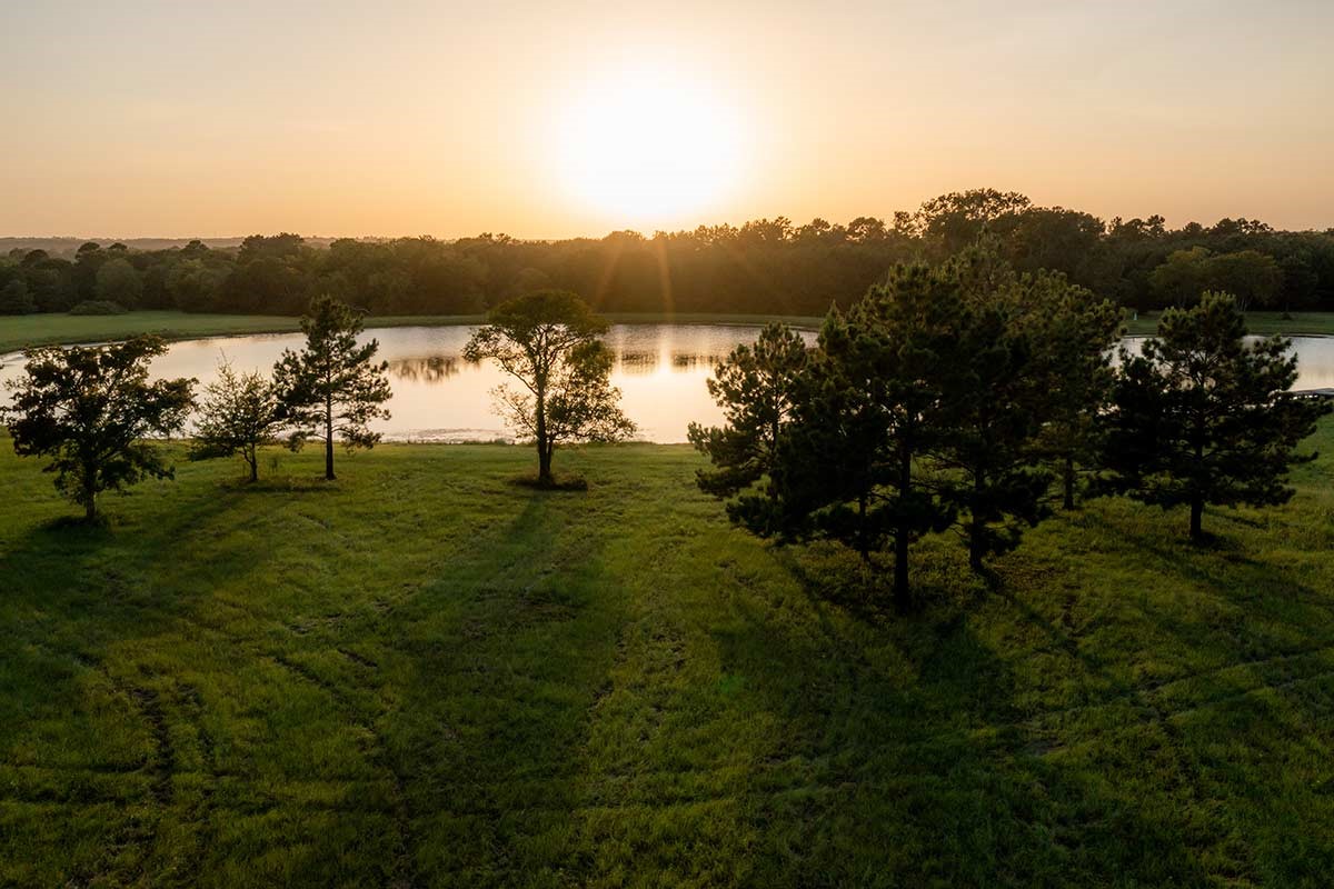 15229 Forest Grove Drive, Willis, TX 77378