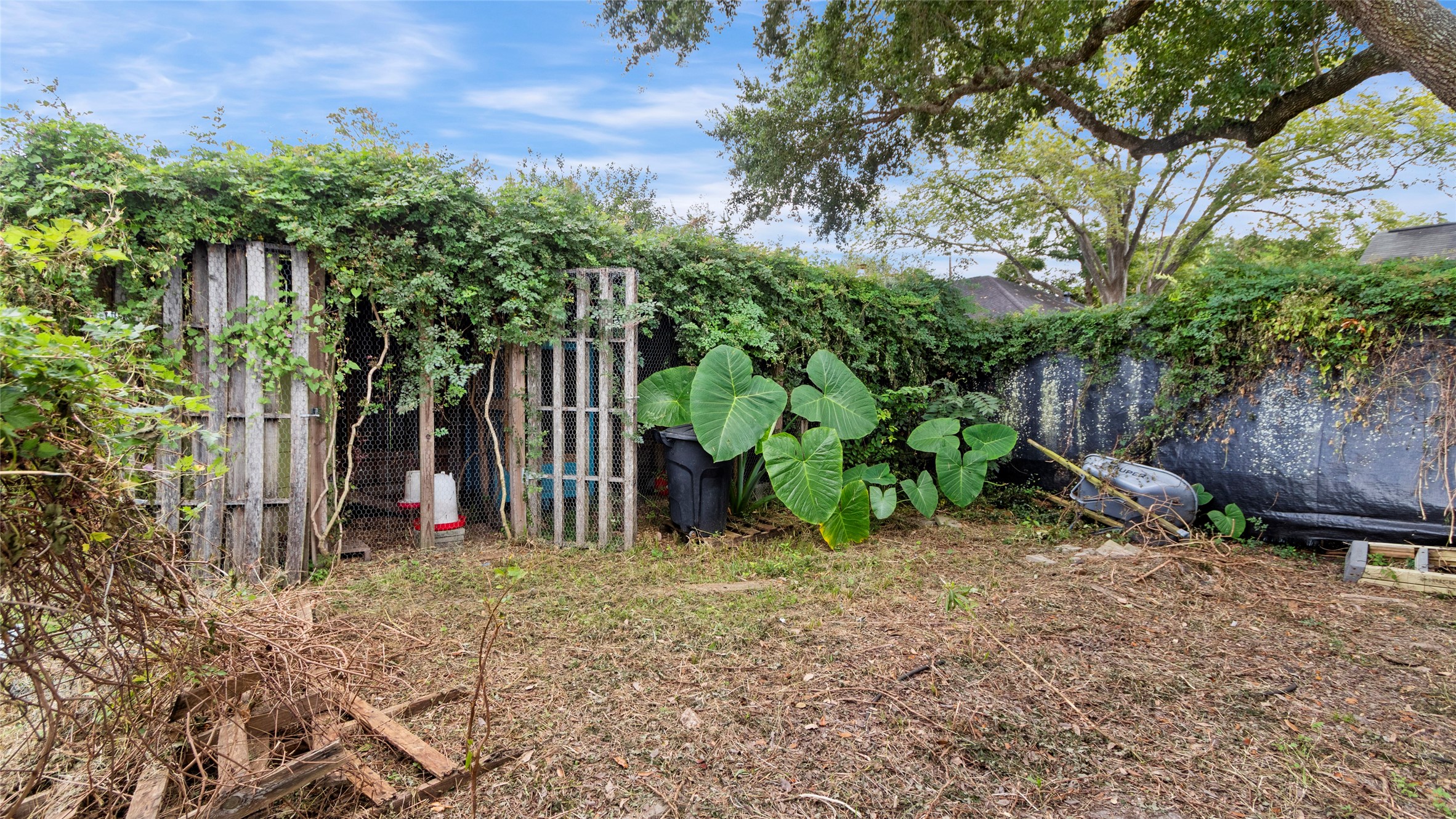 Chicken Coop / could be turned into a green house