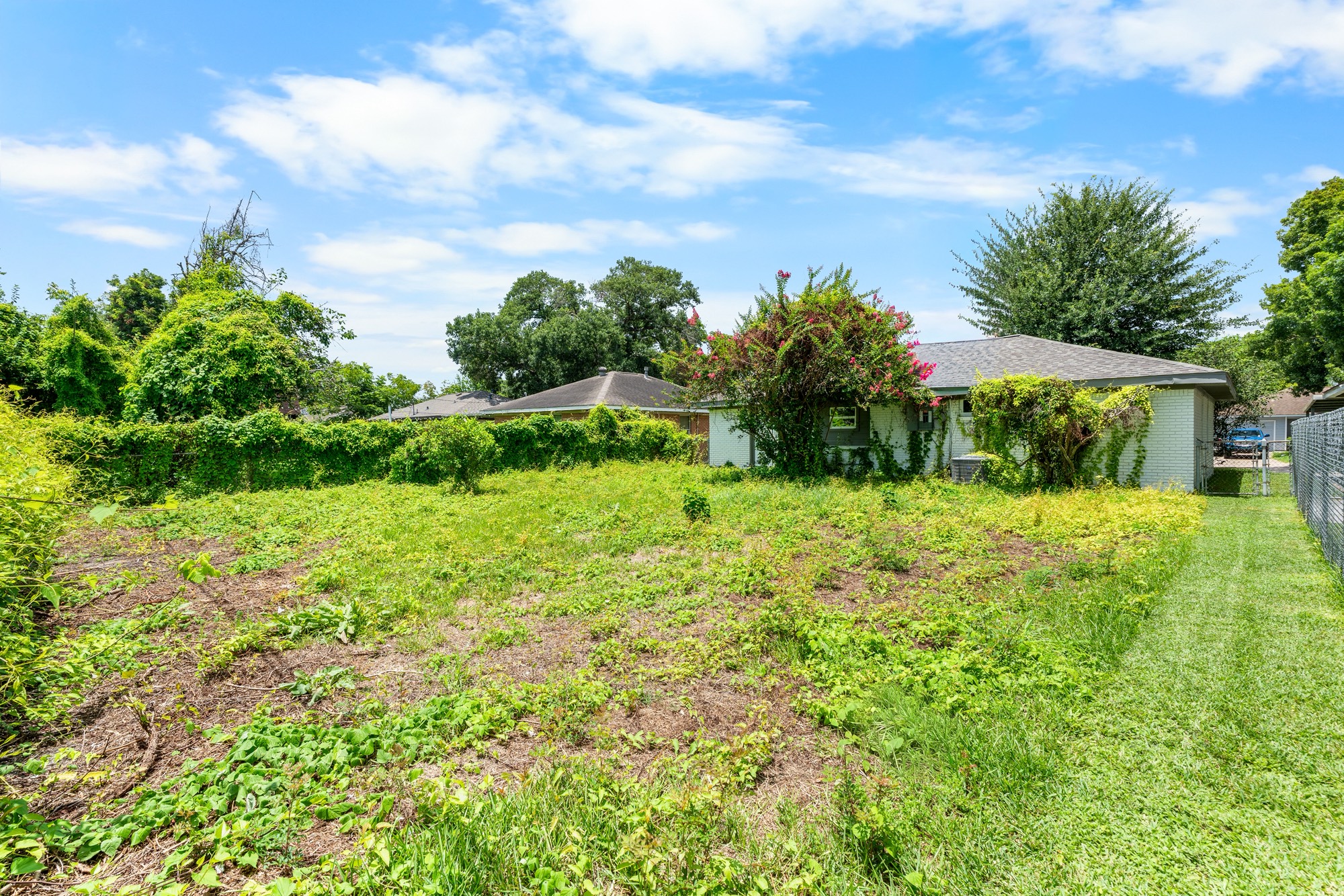 Rear Yard