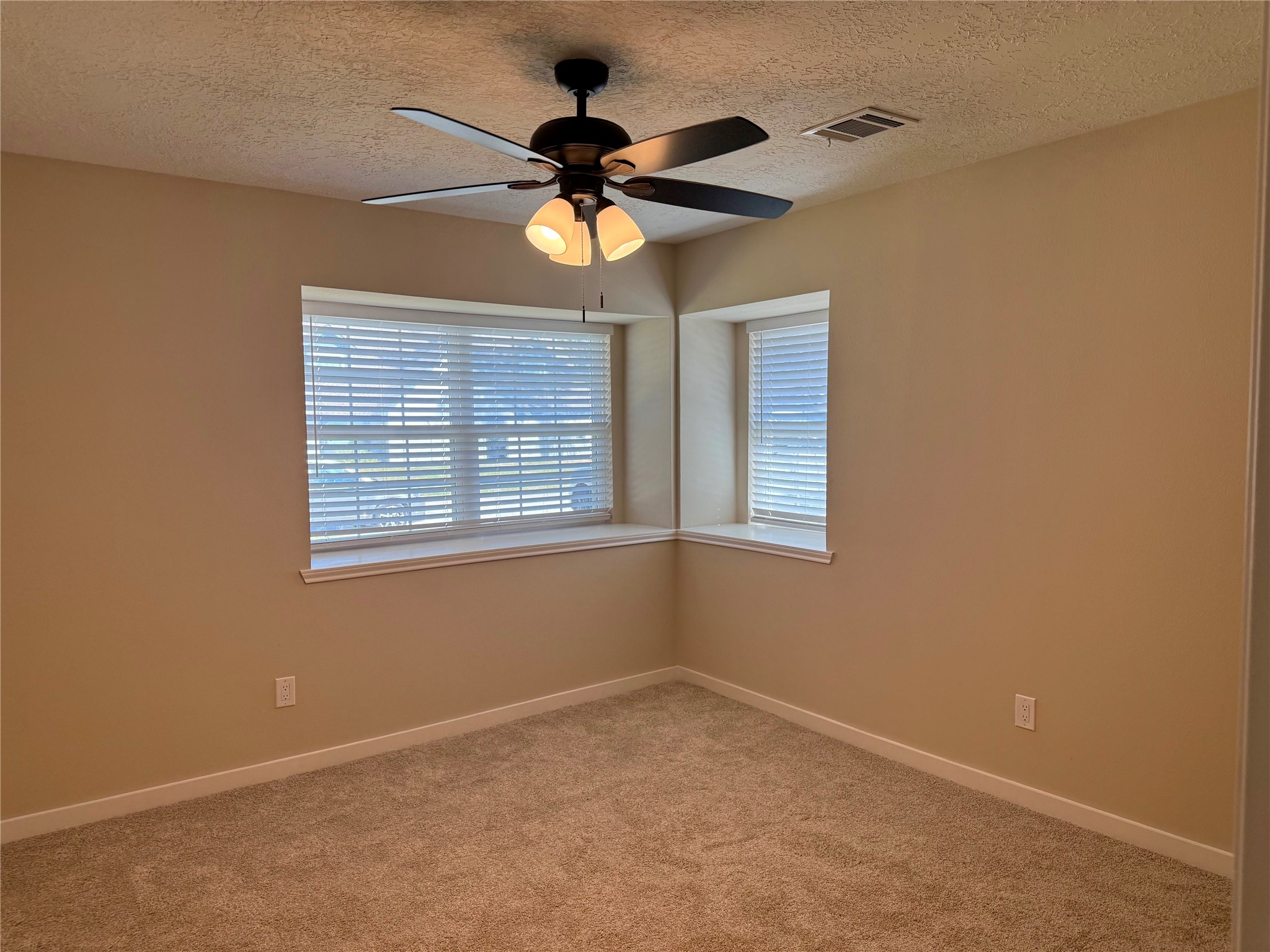 215 Hickory Ridge Drive, Shenandoah, TX 77381