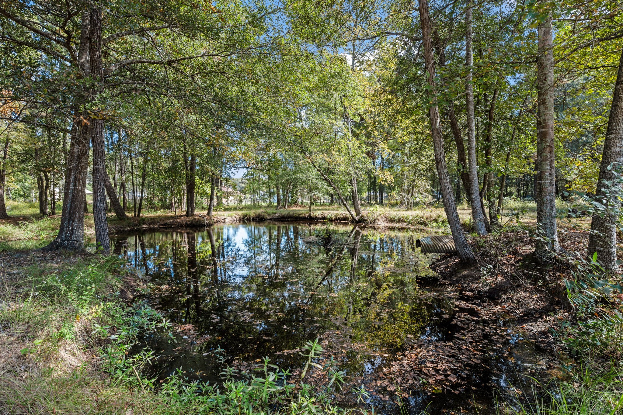 16959 S Tram Road, Splendora, TX 77372