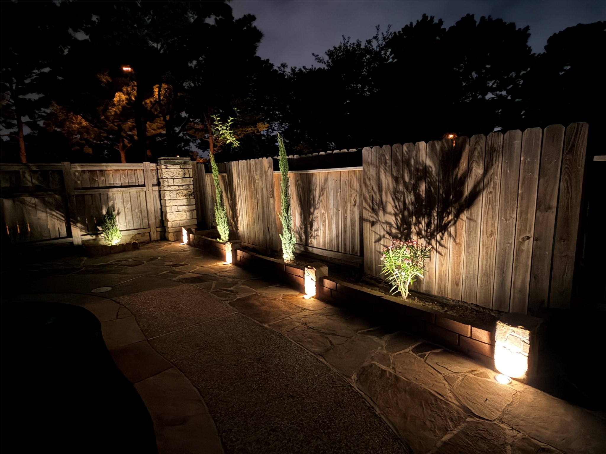 Landscape lighting in backyard.