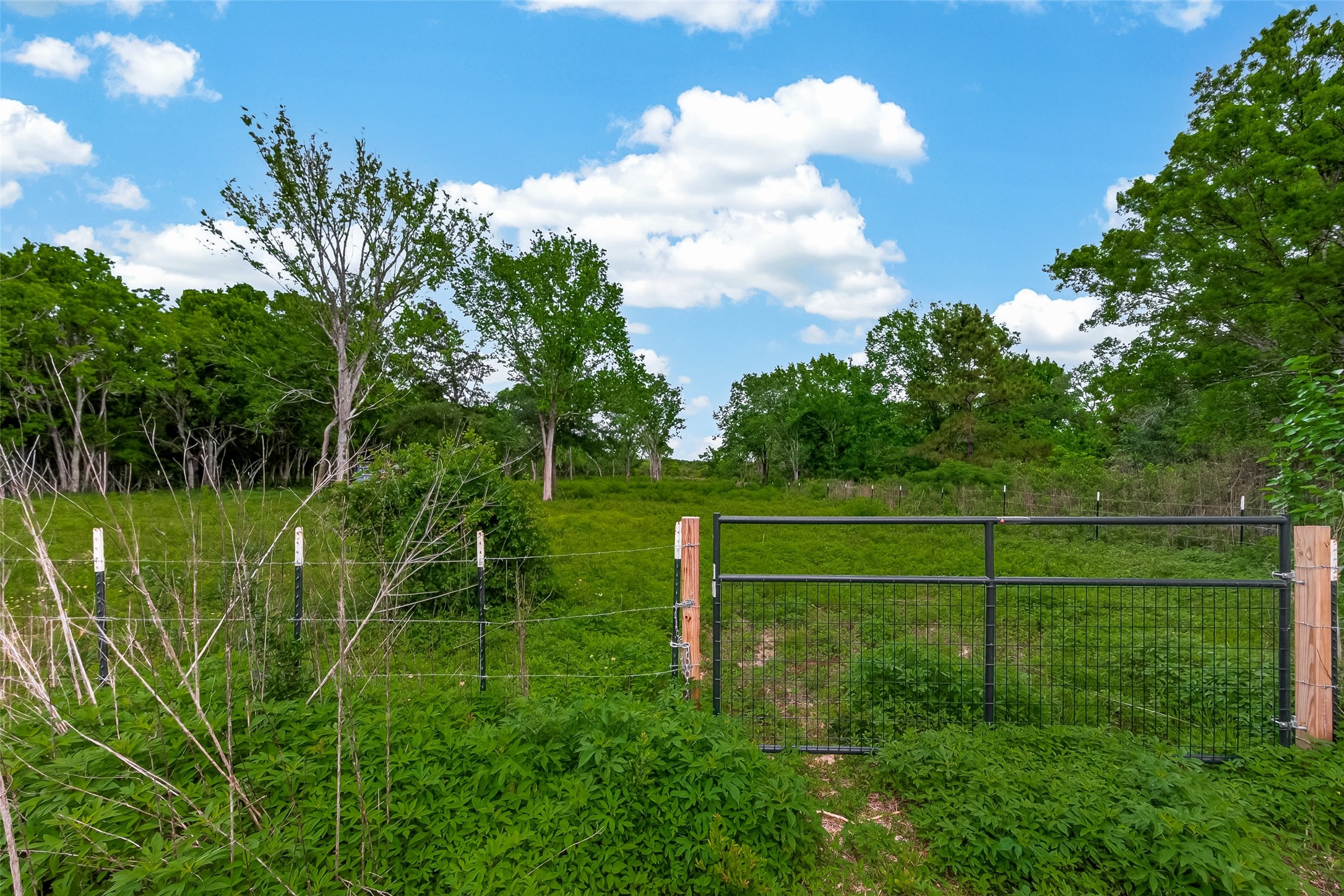 The entrance with a gate. Your future starts on this lot.