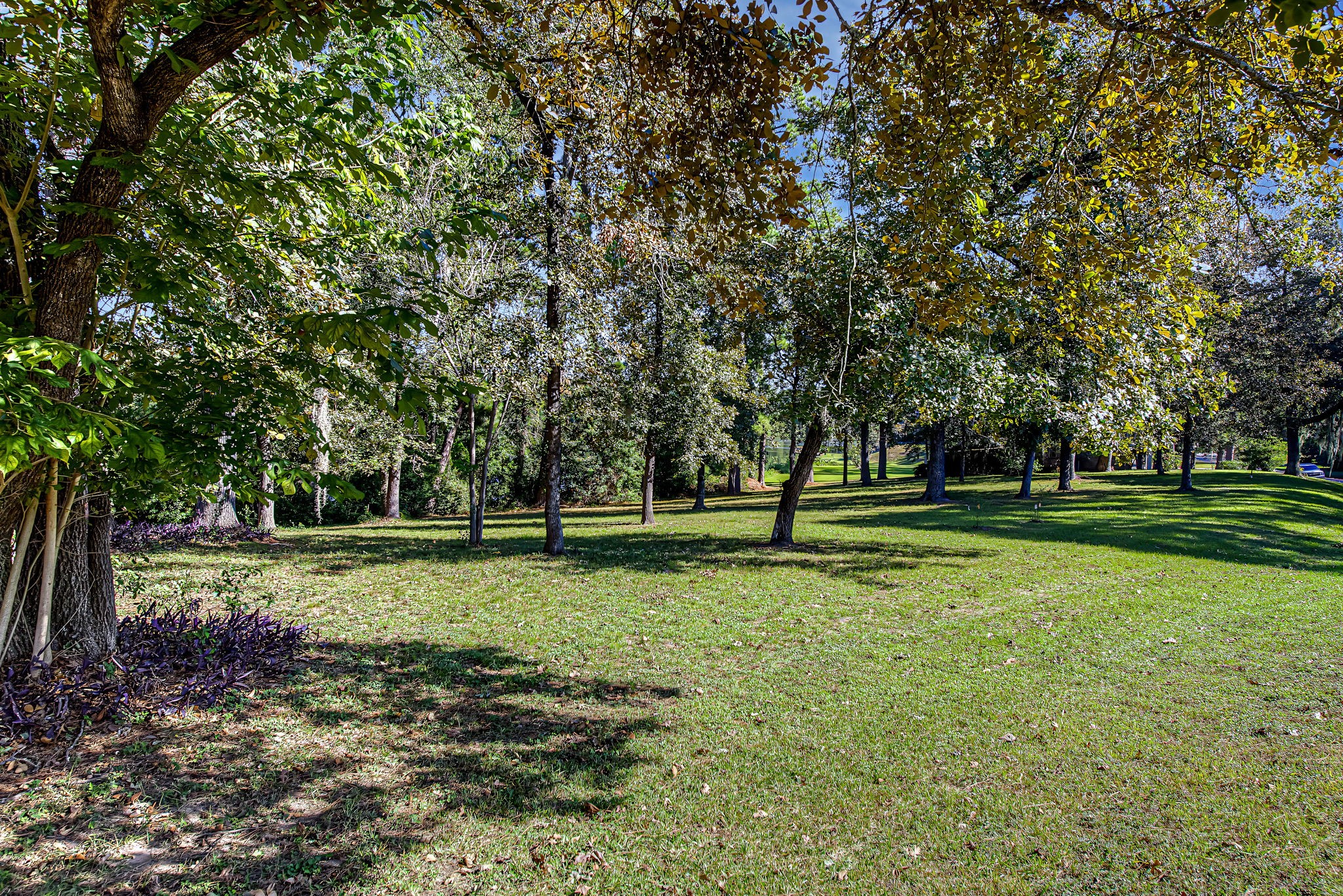 0 Brook Hollow Dr, Conroe, TX 77385
