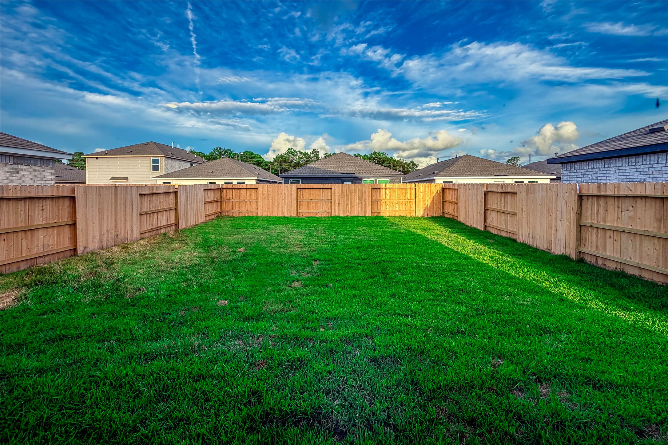 Backyard view