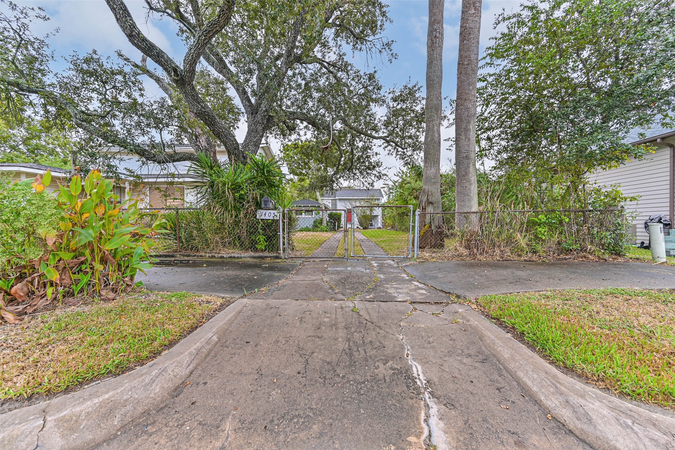 A peaceful outdoor setting with mature trees and a long driveway, offering a welcoming approach to the property.