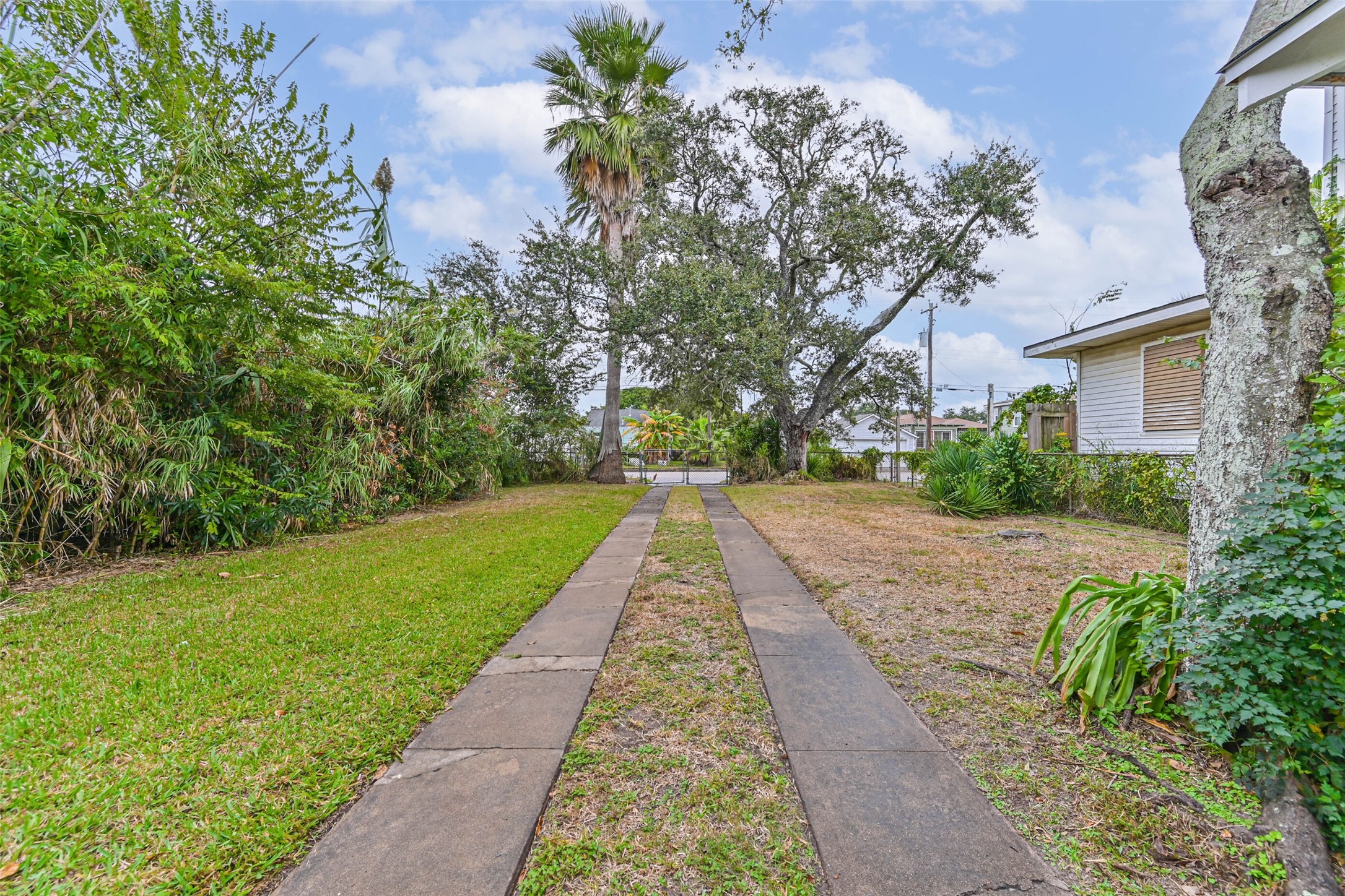 A long paved walkway leads toward the home, creating an inviting approach through the property's green surroundings.