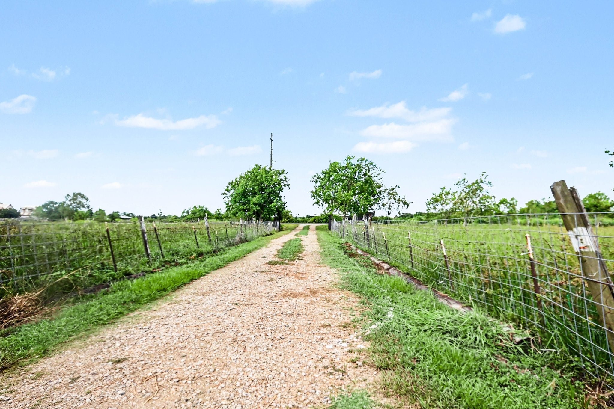 Private driveway to 16.2 acres & home Private driveway to 16.2 acres & home