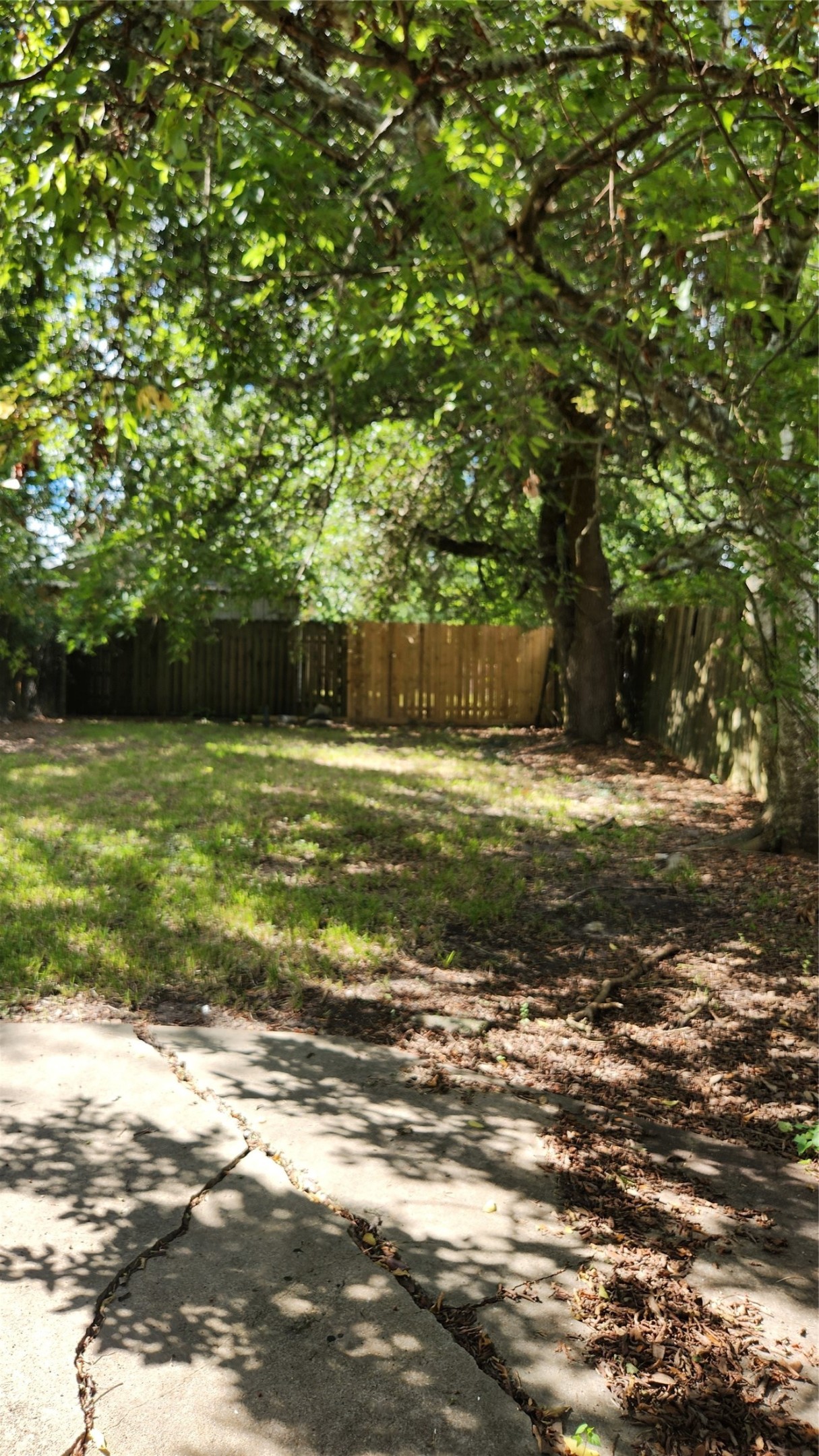 corner view of cleared backyard