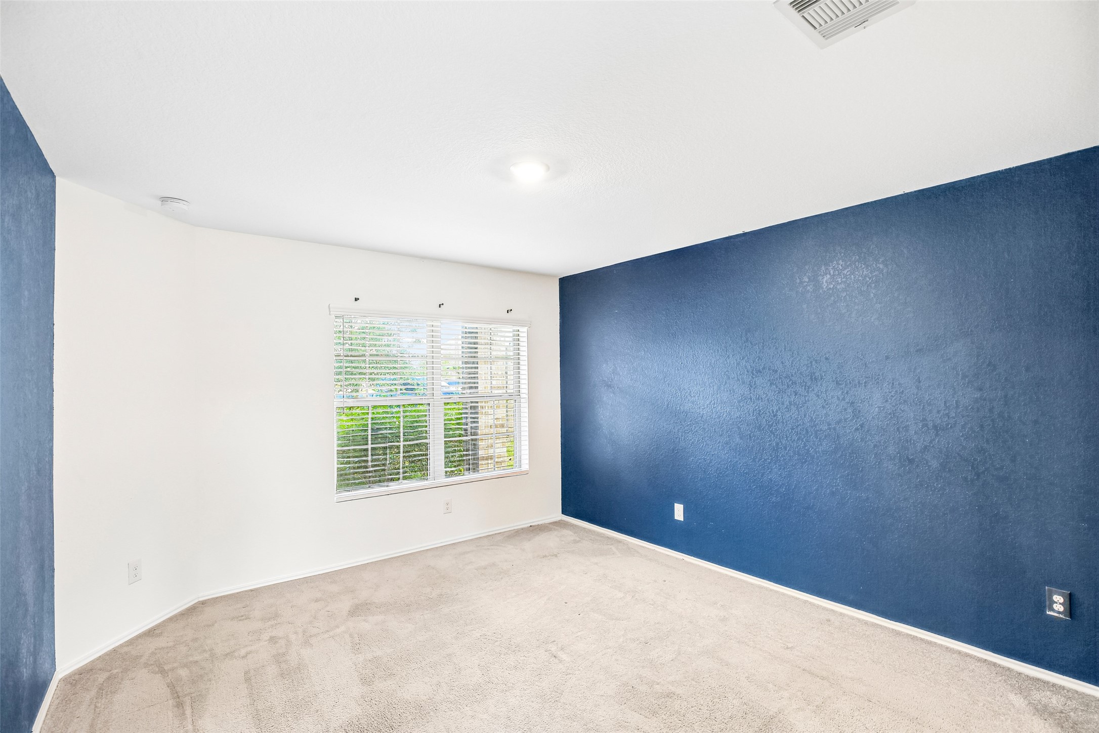 Empty carpeted interior room with a window, white blinds, and a blue accent wall.