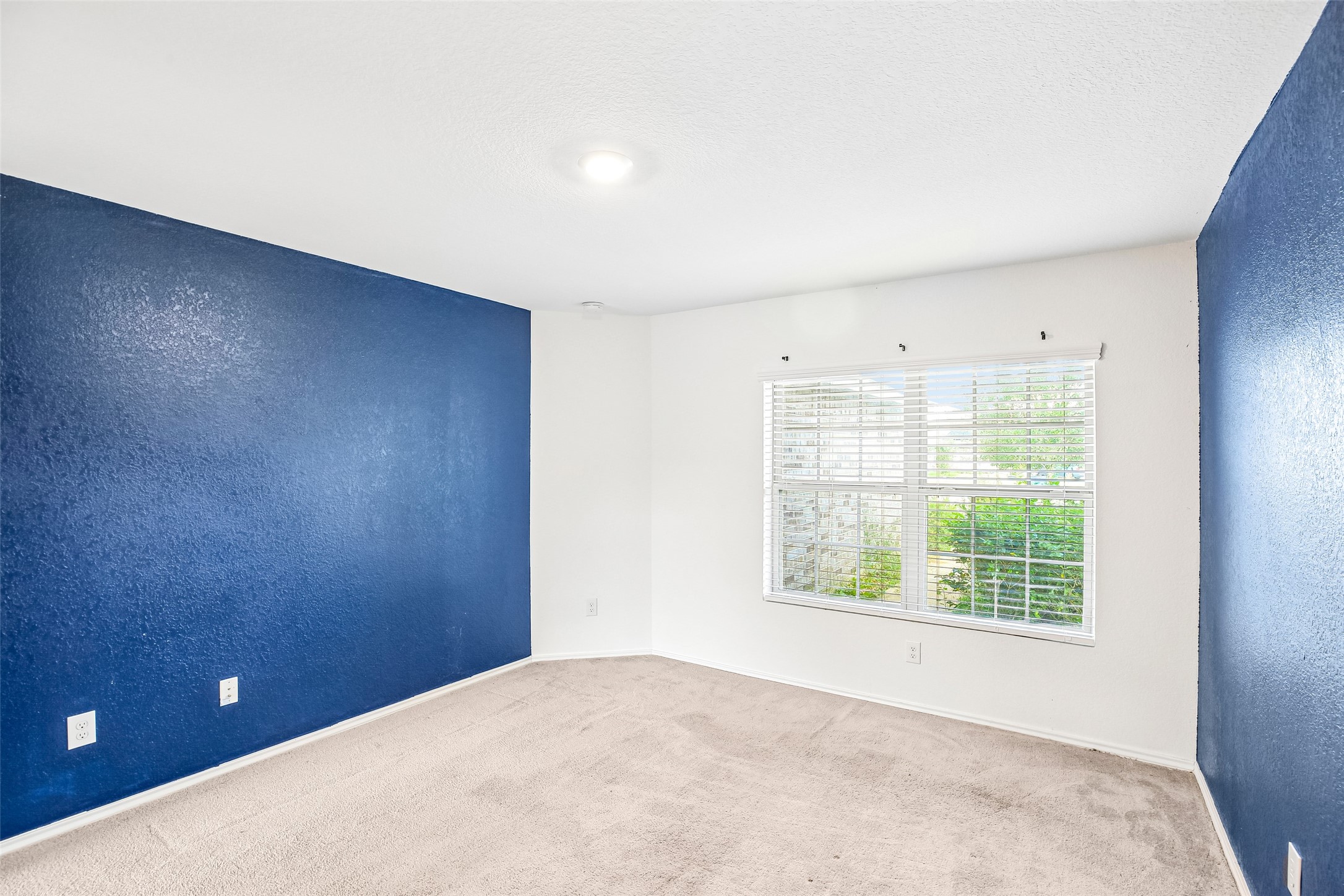 Empty carpeted room with blue accent walls, white blinds, and a large window overlooking greenery.