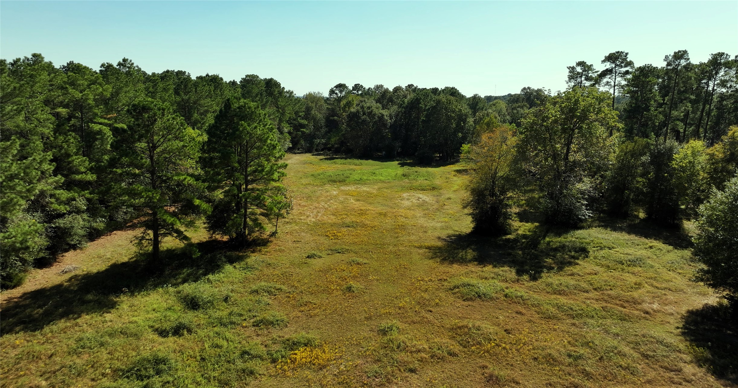 tbd 7.5 ac Sharp Road, Montgomery, TX 77356
