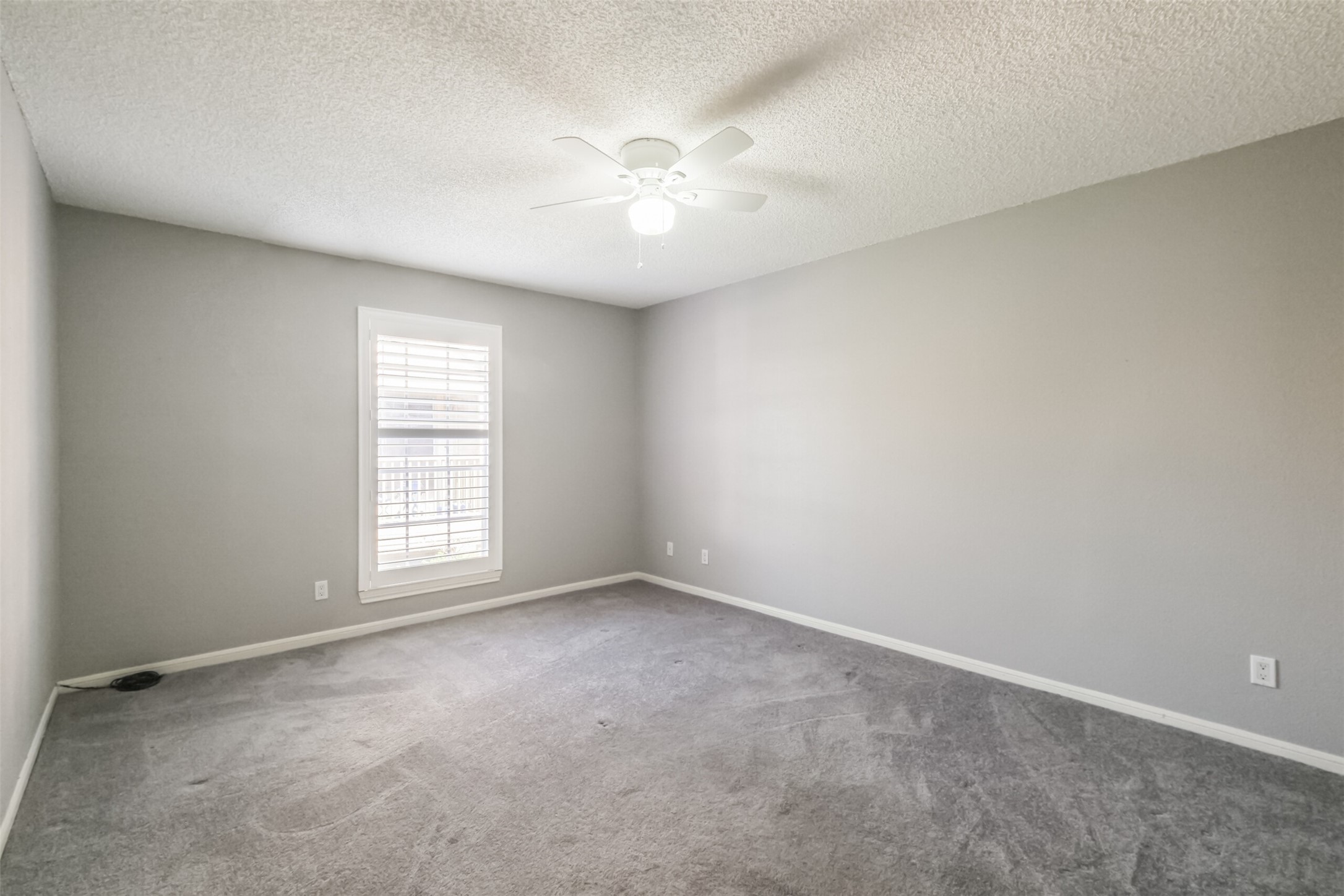 Spacious primary bedroom with carpeted floors and a ceiling fan!