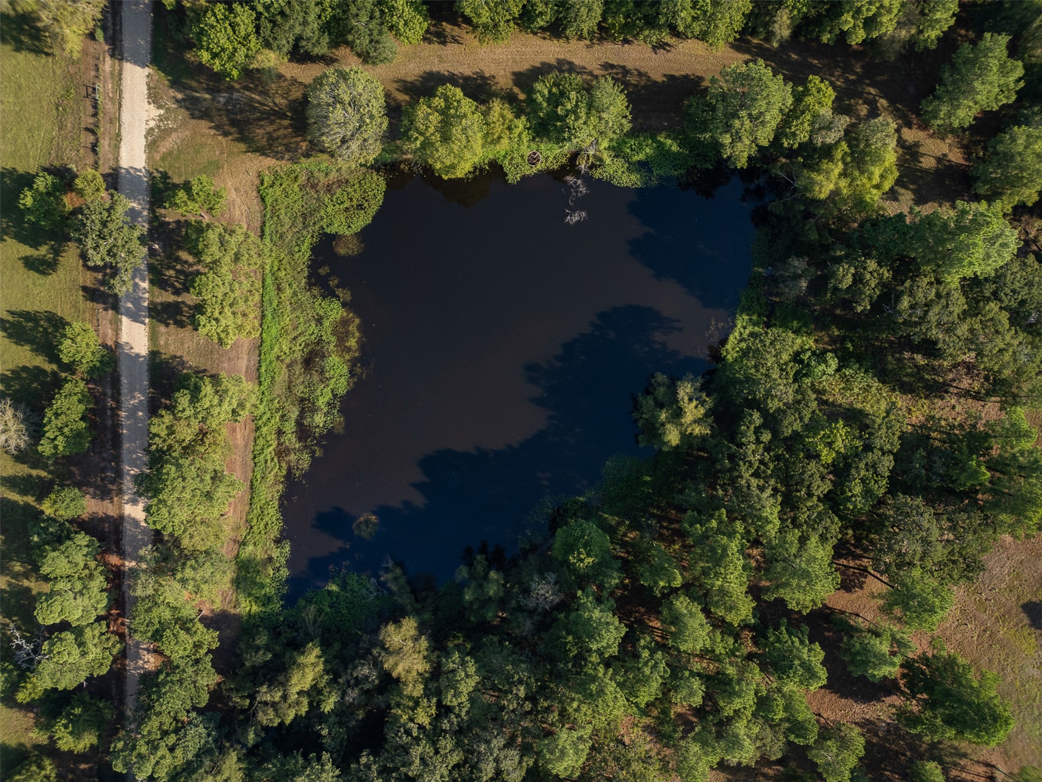 29489 Red Top Road, Richards, TX 77873