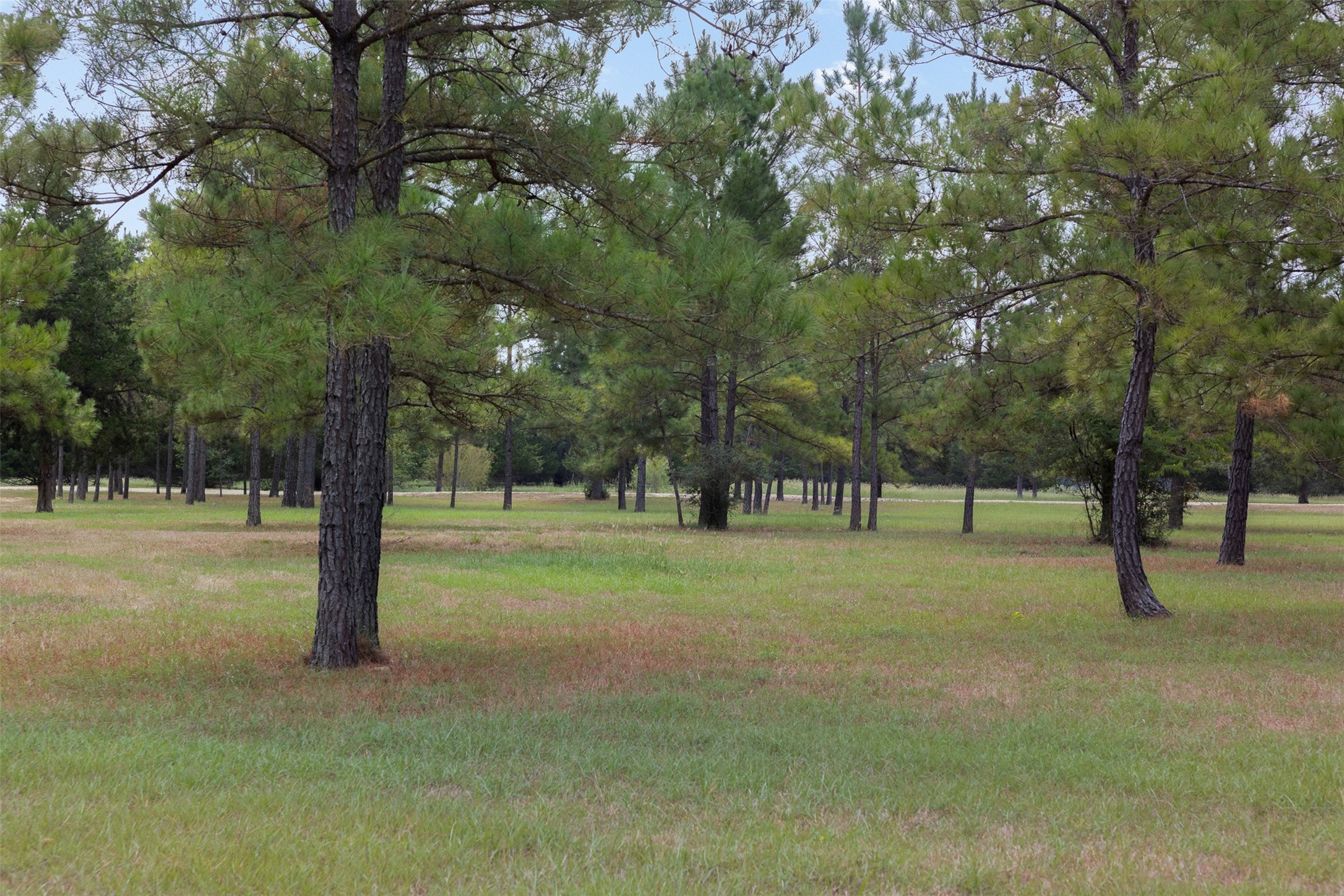 29489 Red Top Road, Richards, TX 77873