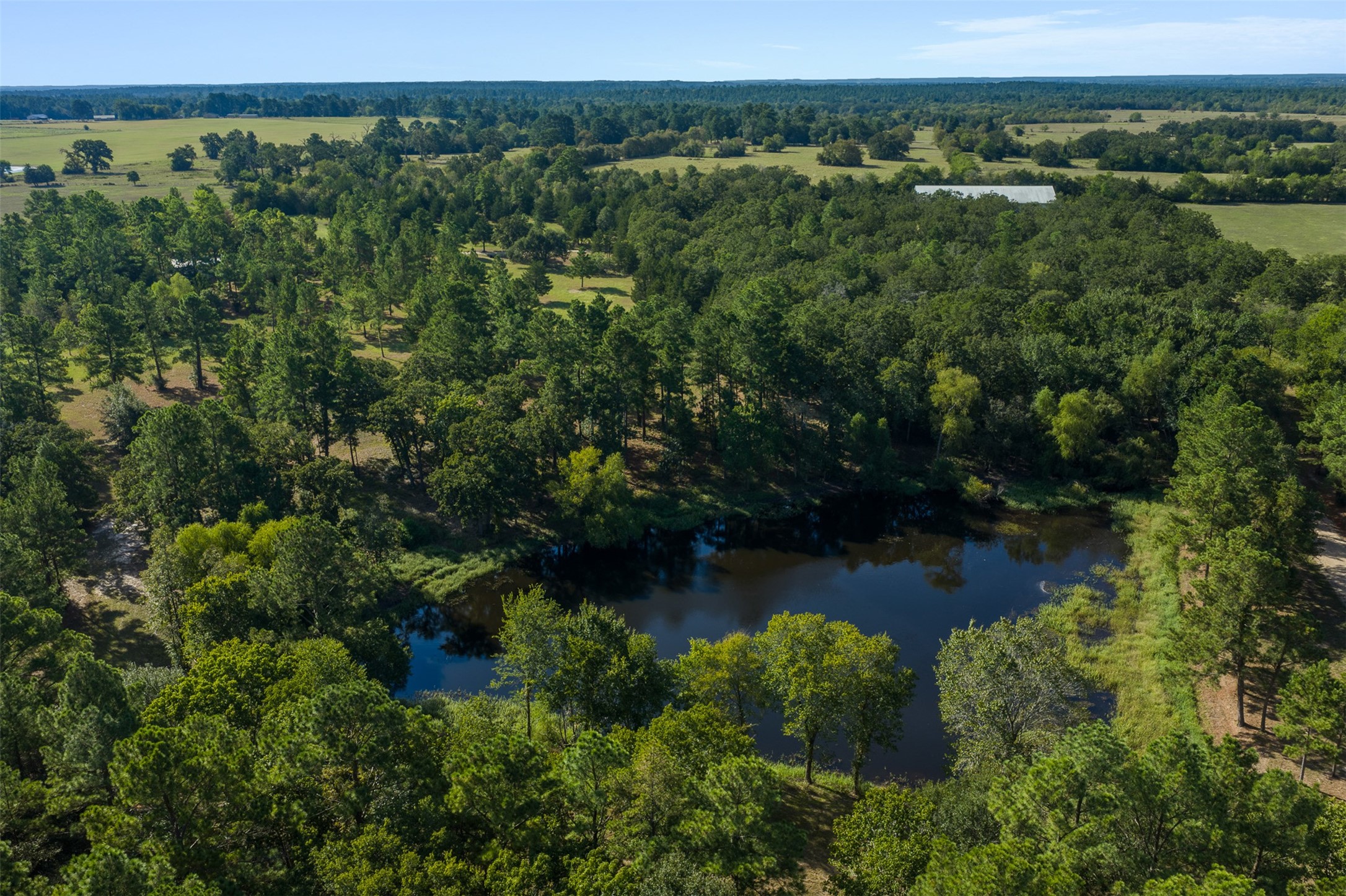 29489 Red Top Road, Richards, TX 77873