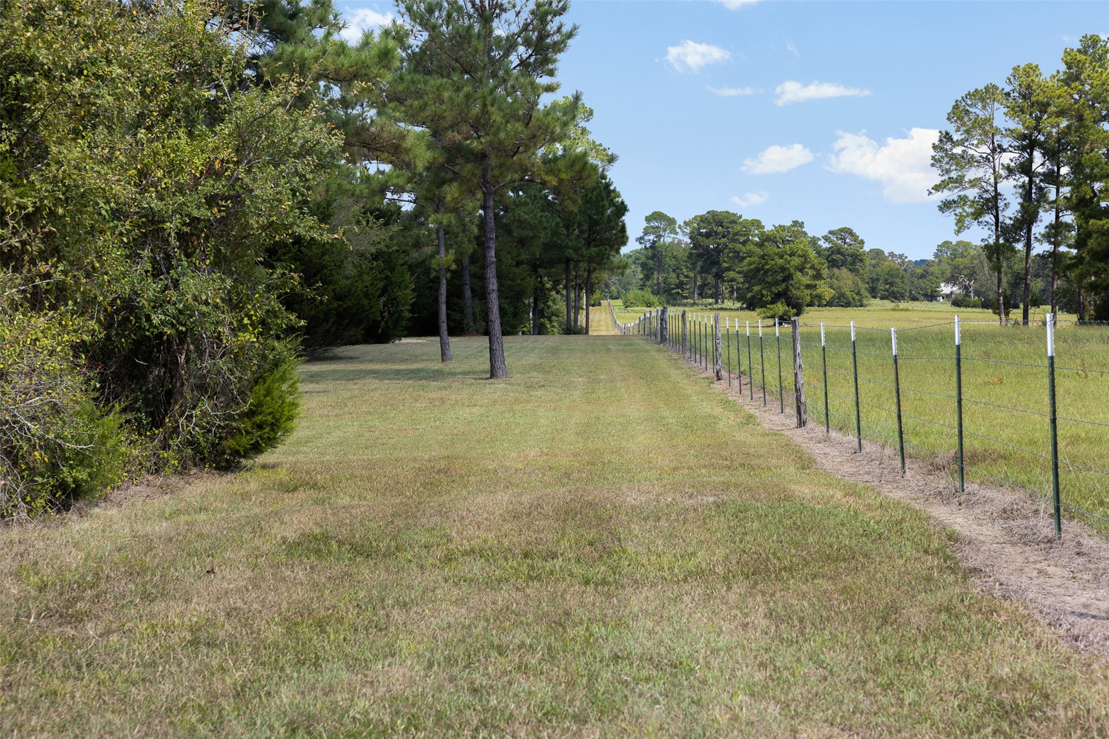 29489 Red Top Road, Richards, TX 77873