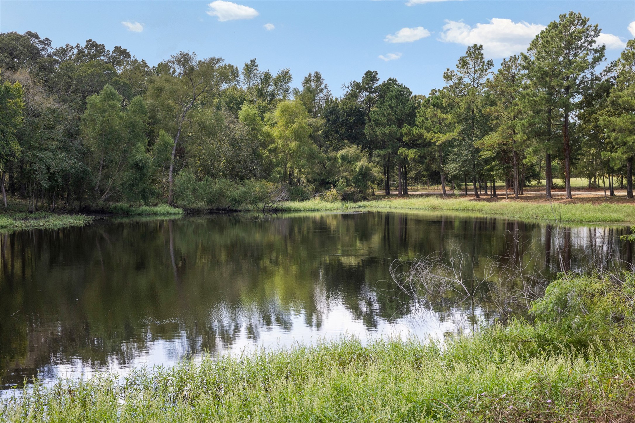 29489 Red Top Road, Richards, TX 77873