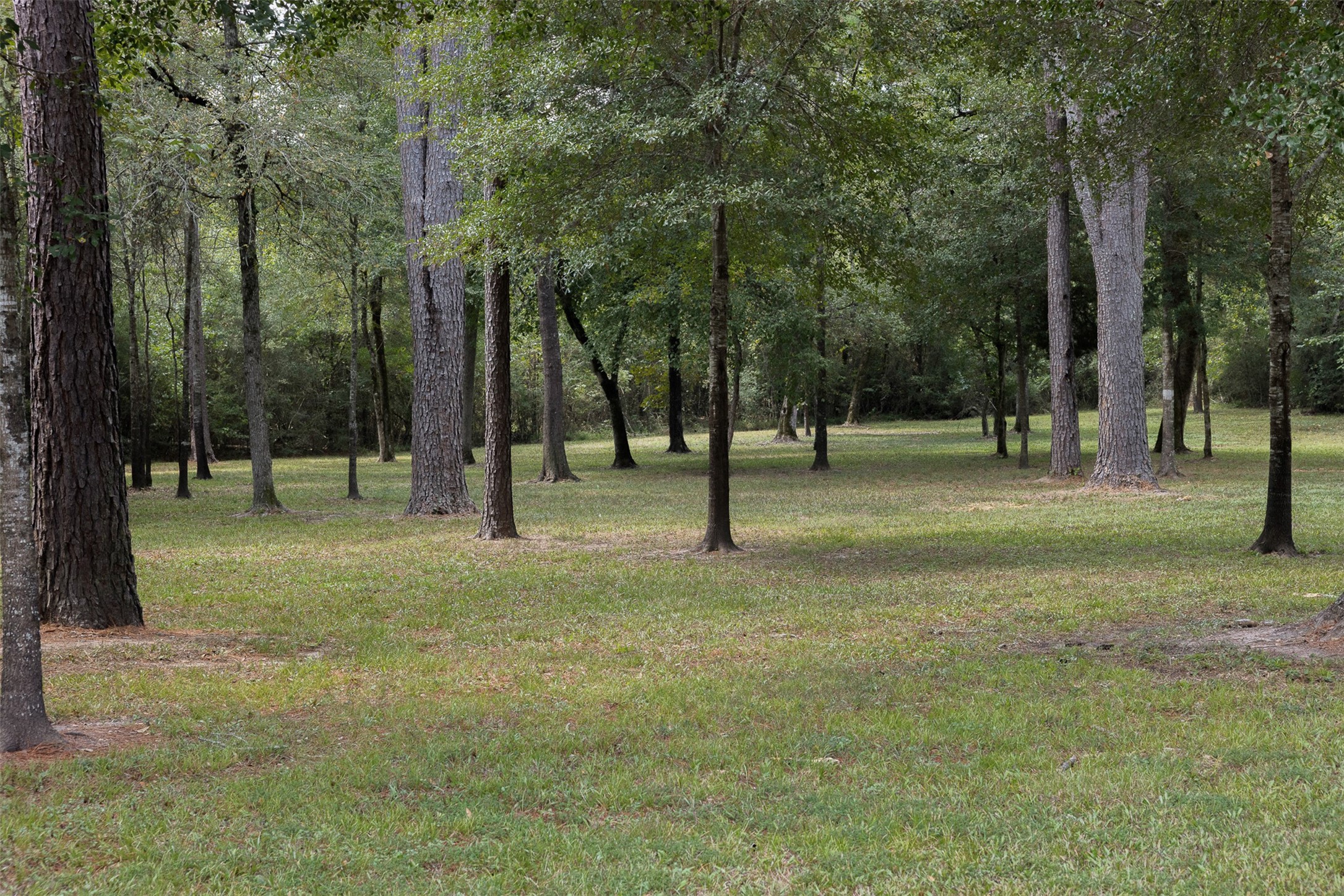 29489 Red Top Road, Richards, TX 77873