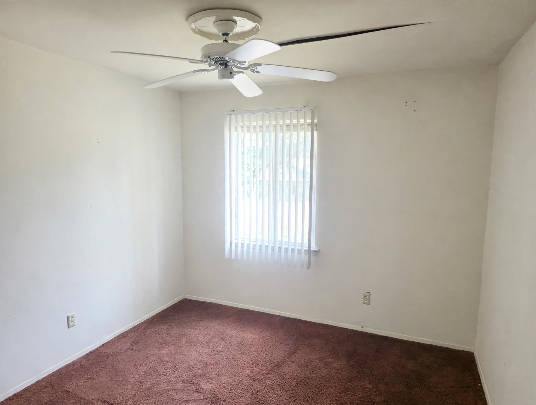 14514 Littleford Street, Houston, TX 77045