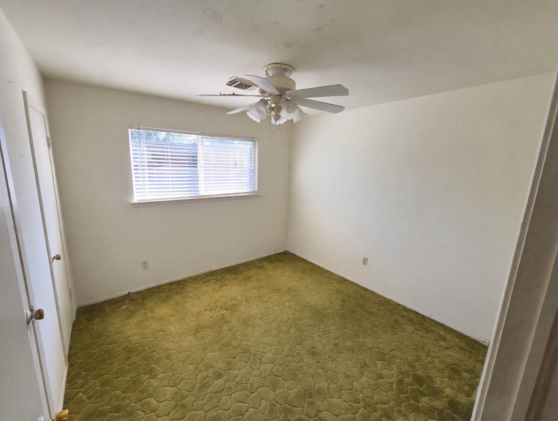 14514 Littleford Street, Houston, TX 77045
