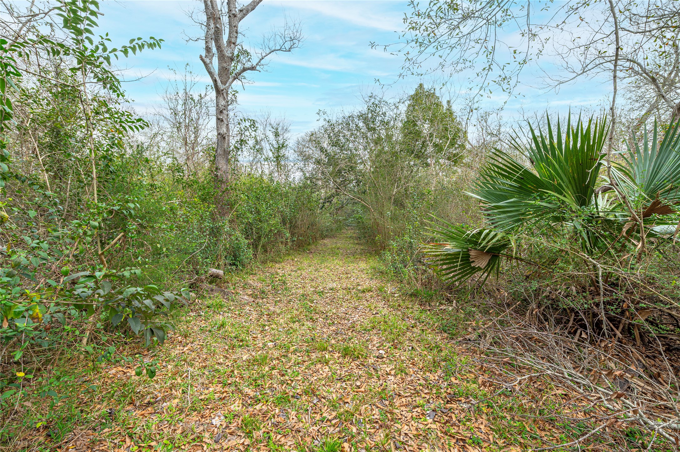 walking trail walking trail