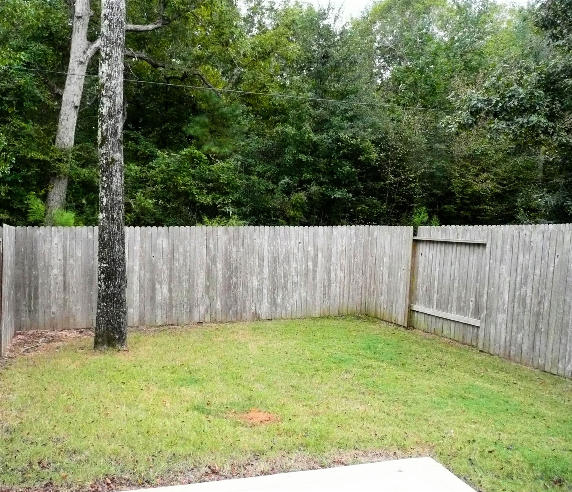 This is not exact backyard...new picture coming soon