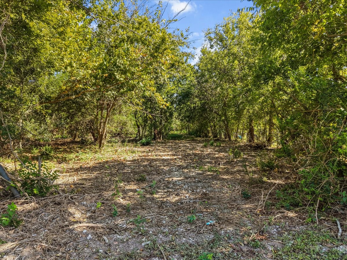 Part of the property has been cleared for access, and it can be used as a future driveway.