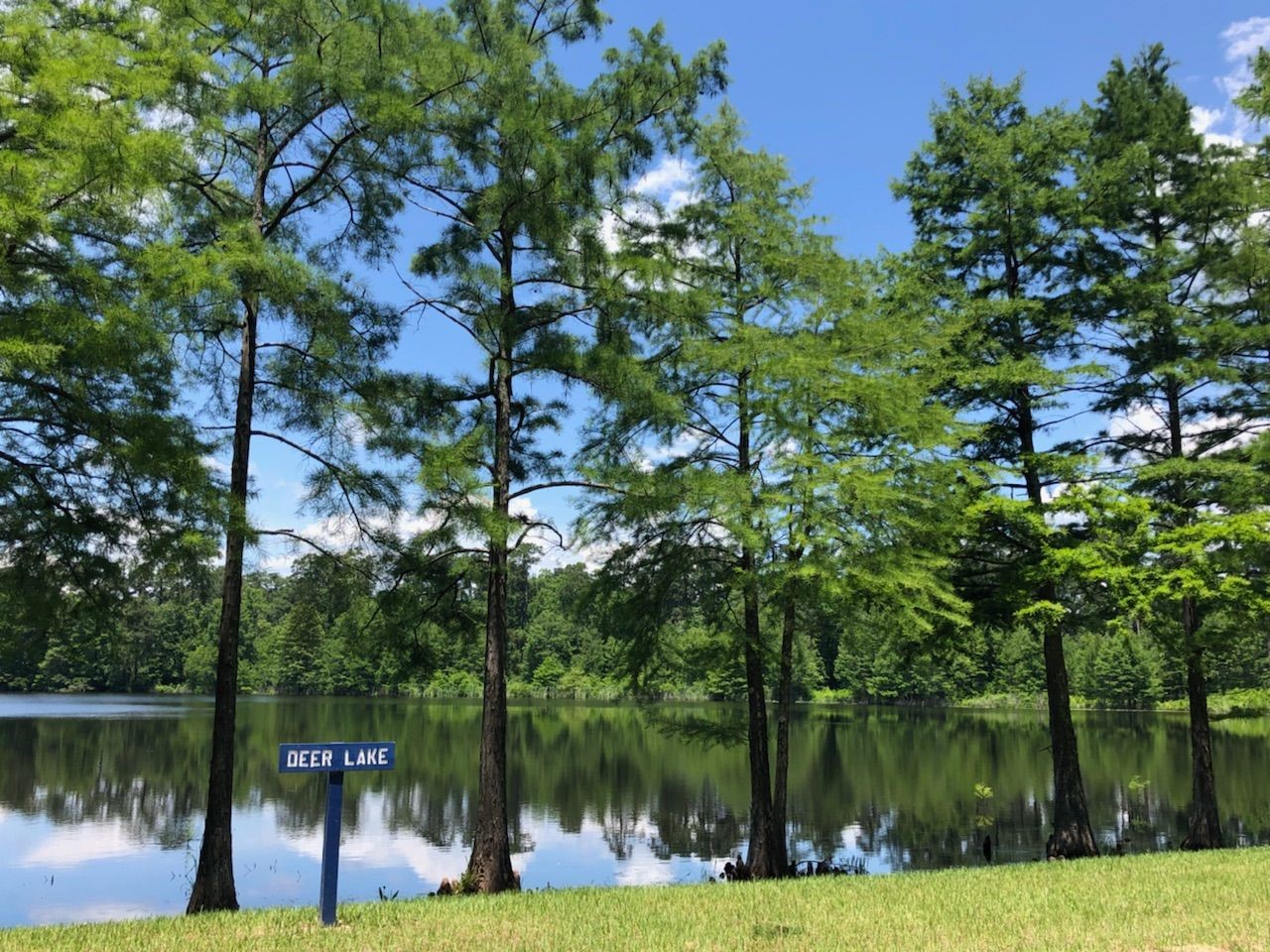 Community Amenities